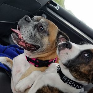 Meet your Posher, Erika